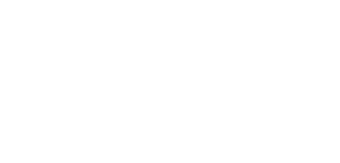 Favicon showing the letter X – symbol of ITQAN Consulting {X}